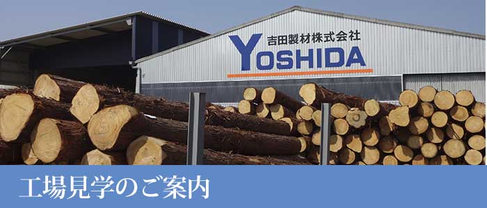 吉田製材 工場見学 メイン写真