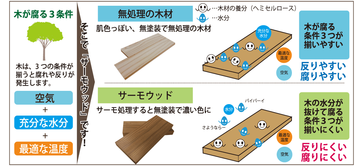 無処理材とサーモウッドの比較